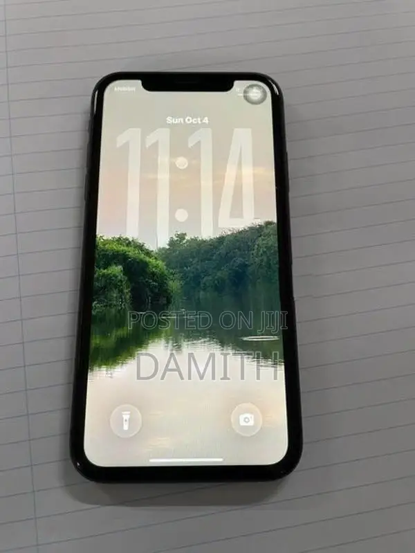 Apple iPhone 11 (Used)