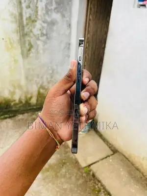 Apple iPhone 12 Pro Max (Used)