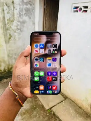 Apple iPhone 12 Pro Max (Used)