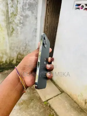Apple iPhone 12 Pro Max (Used)