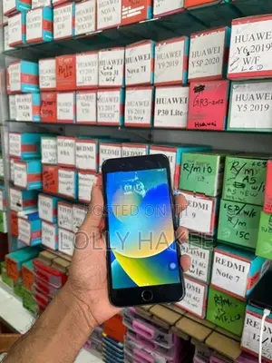 Apple iPhone 8 Plus (Used)