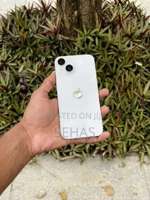 Apple iPhone 13 256GB (Used)