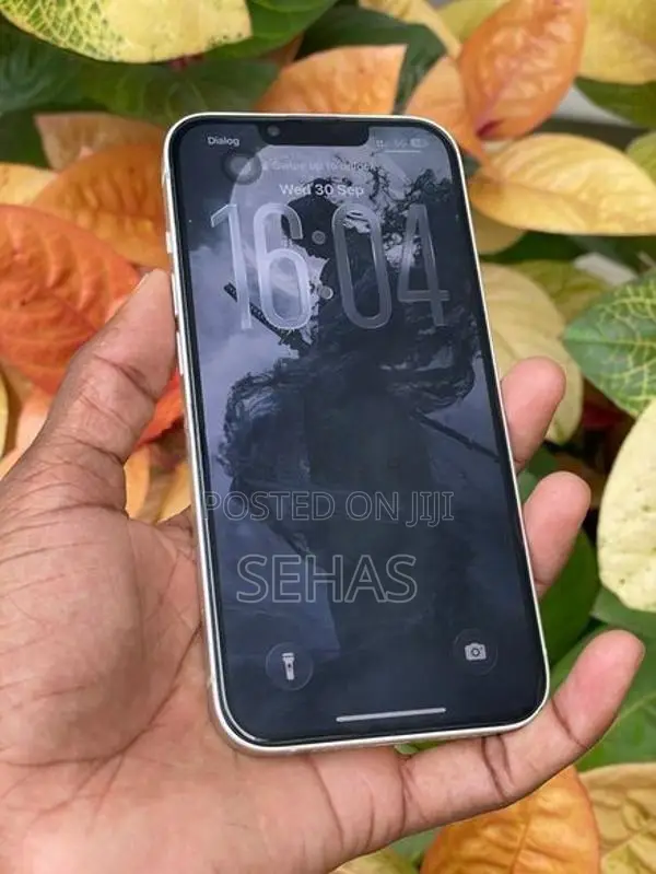 Apple iPhone 13 256GB (Used)