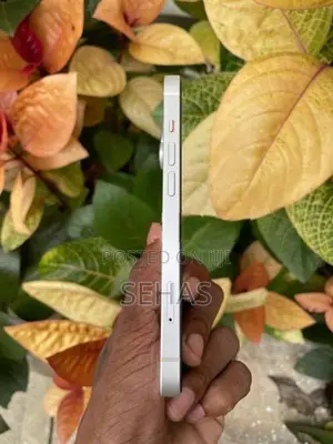 Apple iPhone 13 256GB (Used)