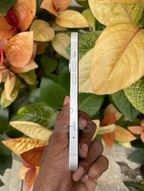 Apple iPhone 13 256GB (Used)