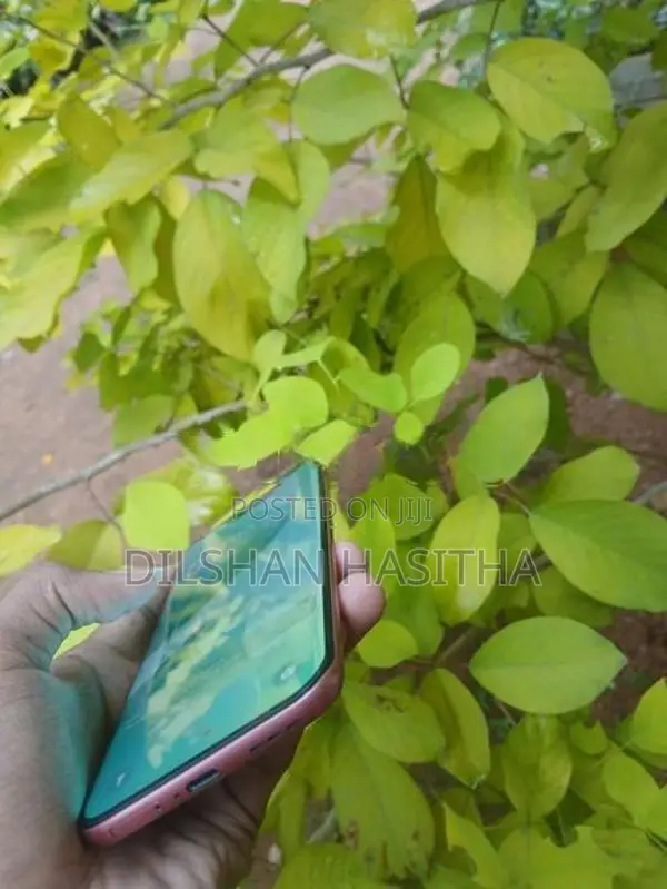 Infinix Hot 60 Pro+ (Used)