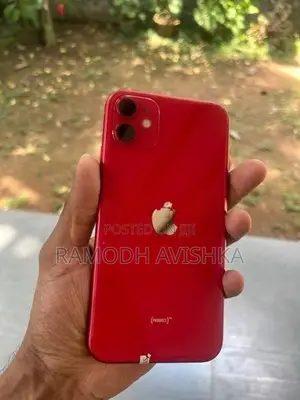Apple iPhone 11 (Used)
