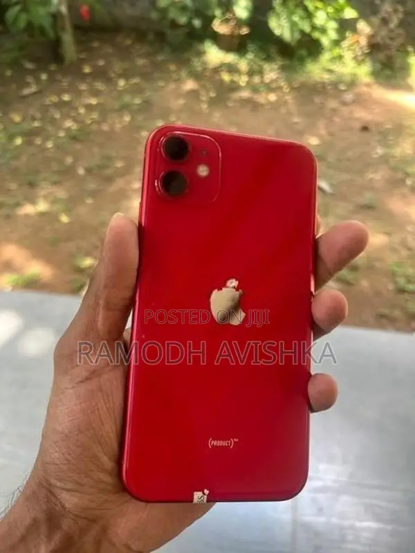 Apple iPhone 11 (Used)