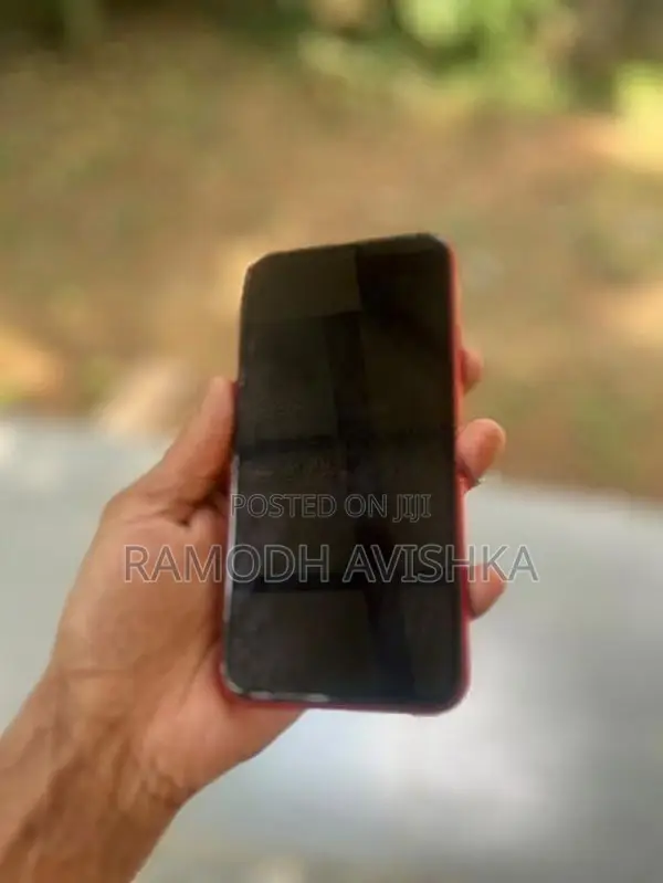 Apple iPhone 11 (Used)