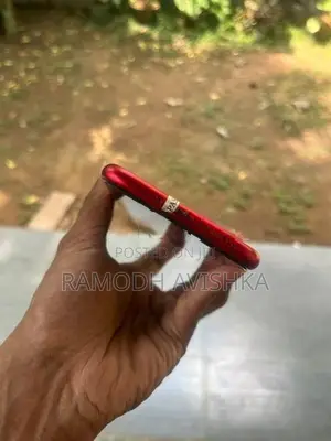 Apple iPhone 11 (Used)