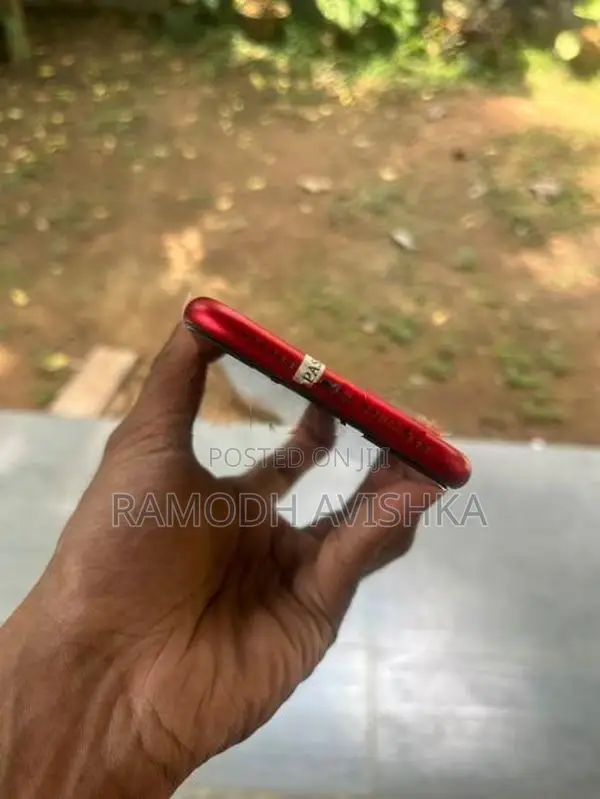 Apple iPhone 11 (Used)