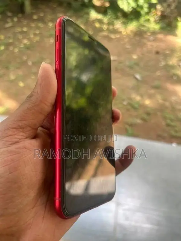Apple iPhone 11 (Used)