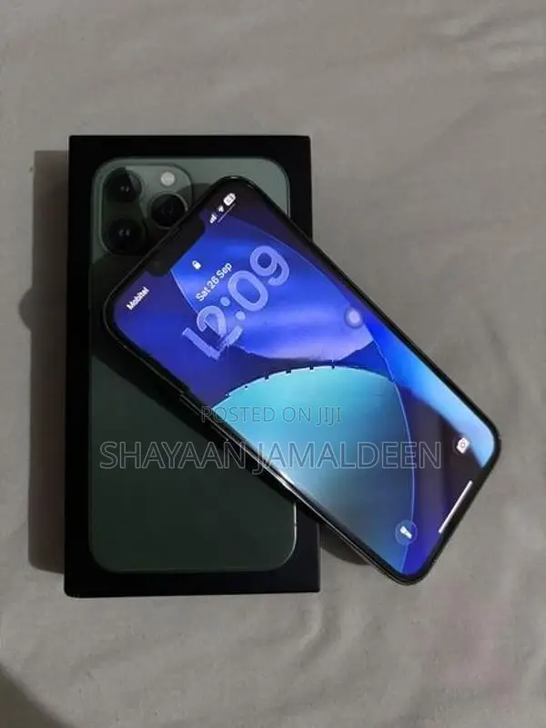 Apple iPhone 13 Pro Max (Used)