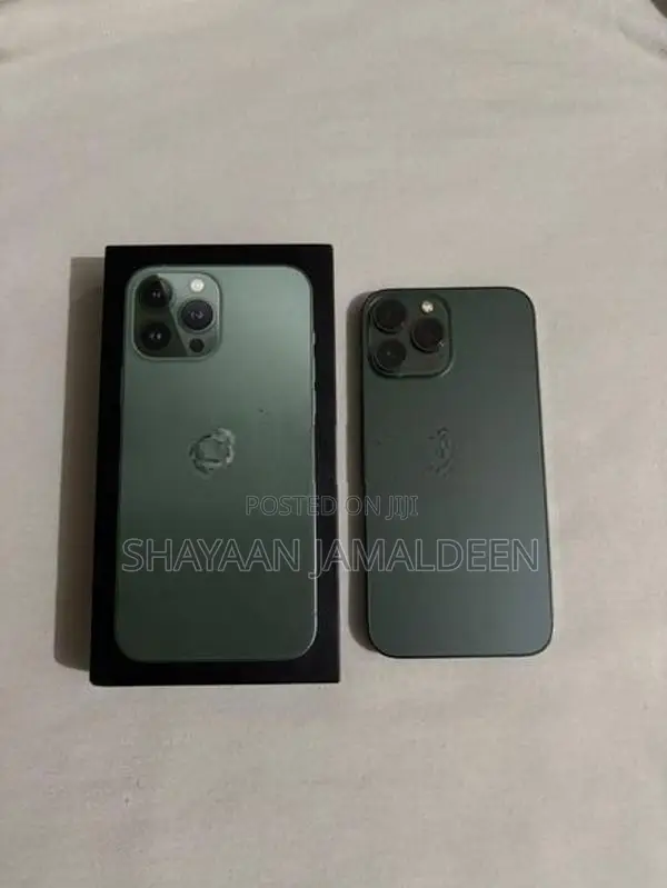 Apple iPhone 13 Pro Max (Used)