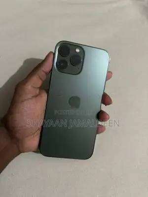 Apple iPhone 13 Pro Max (Used)