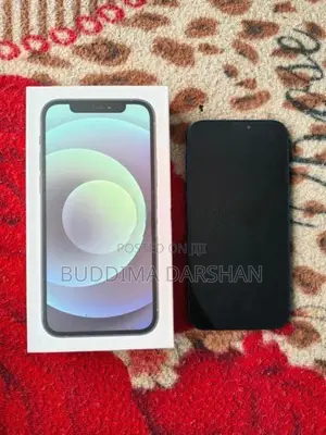 Apple iPhone 12 (Used)