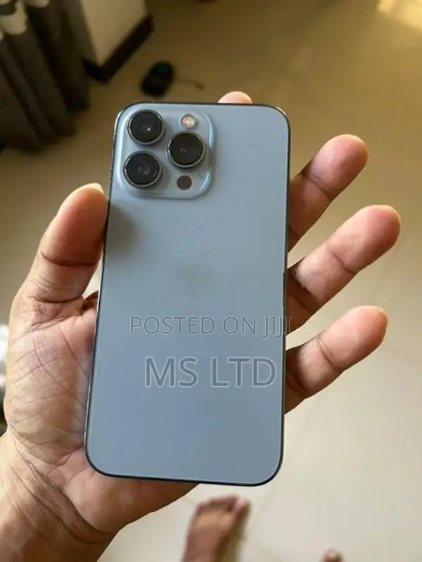 Apple iPhone 13 Pro LLA (Used)