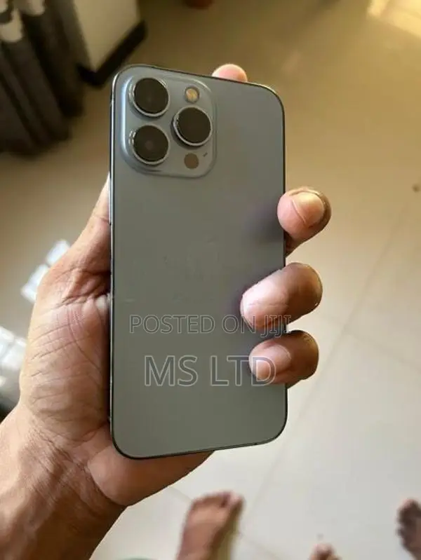 Apple iPhone 13 Pro LLA (Used)