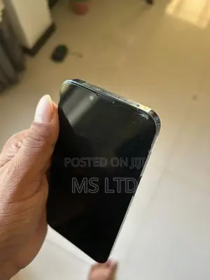Apple iPhone 13 Pro LLA (Used)