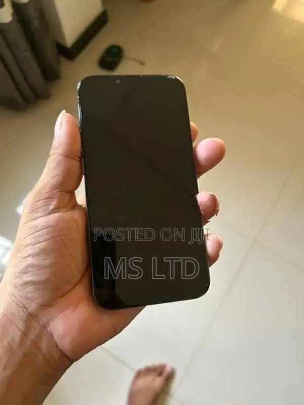 Apple iPhone 13 Pro LLA (Used)