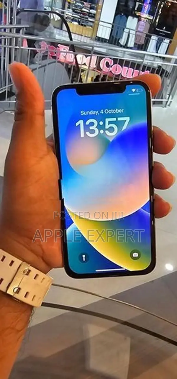 Apple iPhone X (Used)