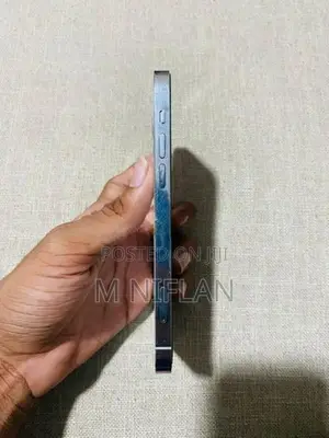 Apple iPhone 12 Pro (Used)