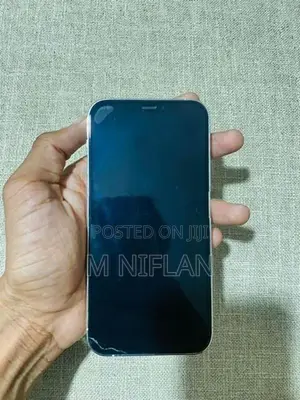 Apple iPhone 12 Pro (Used)