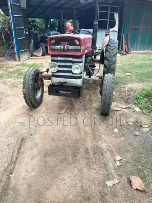 Massey-Ferguson 135 DL 1989 Tractor (Used)
