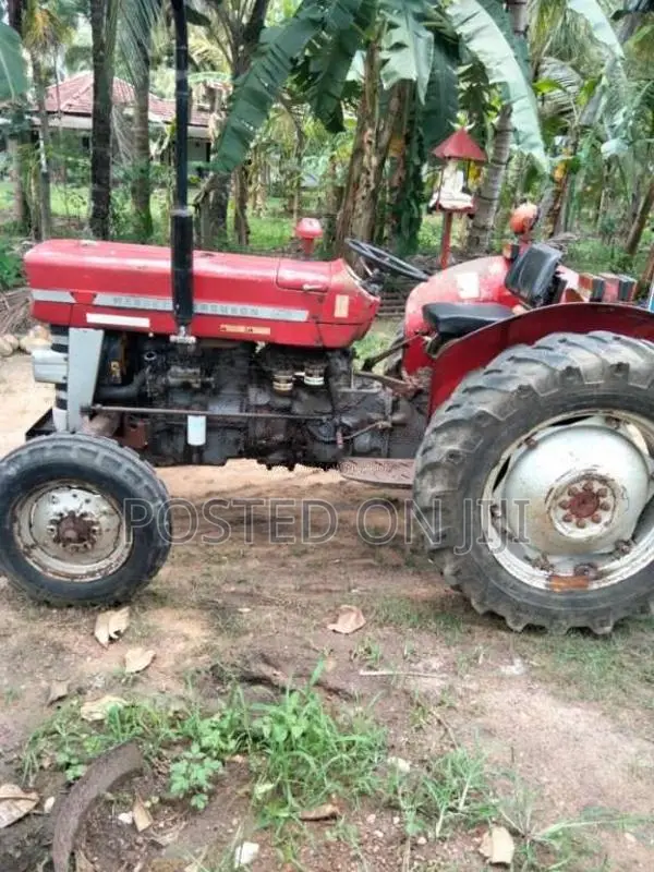 Massey-Ferguson 135 DL 1989 Tractor (Used)