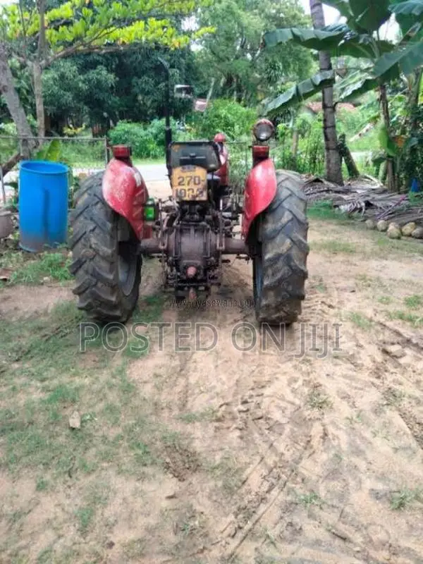 Massey-Ferguson 135 DL 1989 Tractor (Used)