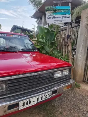 Nissan 720 1984 Pickup (Used)