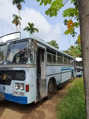 Ashok-Leyland Viking 2020 Bus (Used)