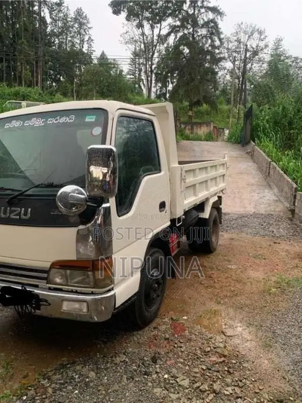 Isuzu Tipper 1999 Lorry (Used)