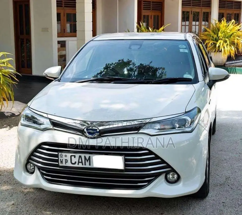 Toyota Axio 2015 Car (Used)