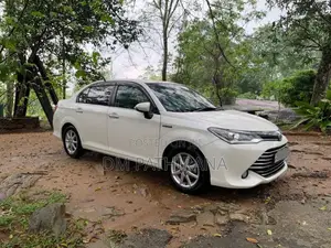Toyota Axio 2015 Car (Used)