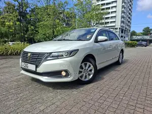Toyota Premio G Superior 2019 Car (Used)