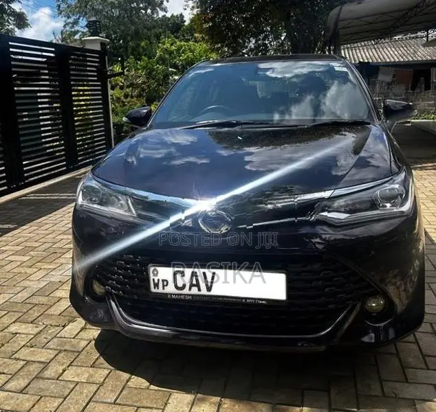 Toyota Axio WxB 2017