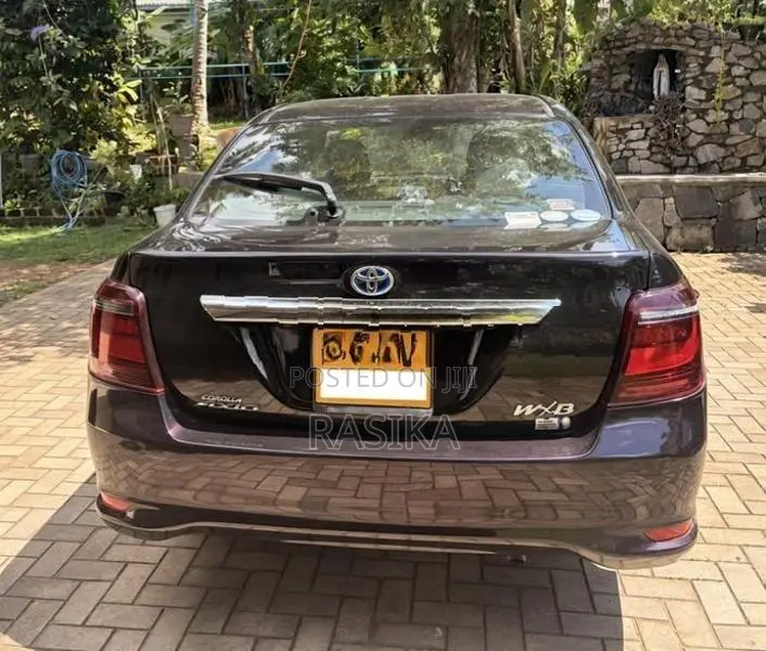 Toyota Axio WxB 2017