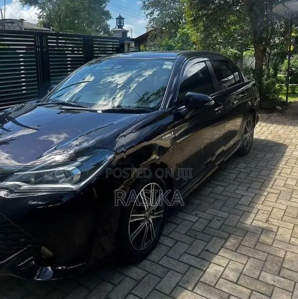 Toyota Axio WxB 2017