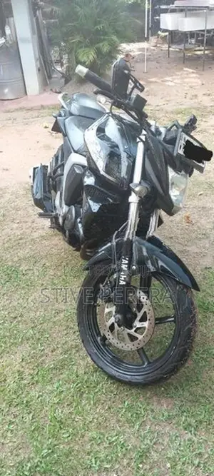 Yamaha FZs V2 2017