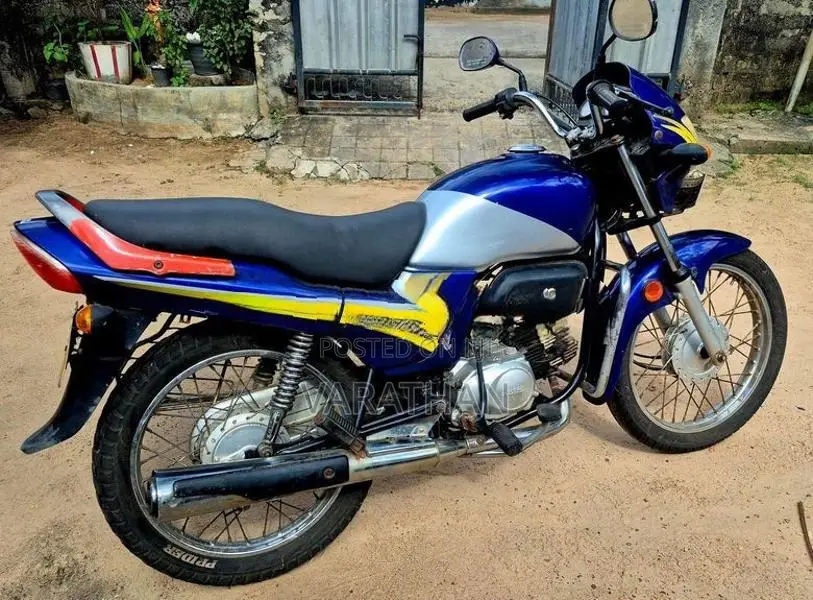 Hero Passion Plus 2010