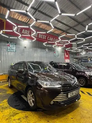 Toyota Axio G Grade 2015