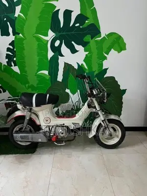 Honda Chaly 1995