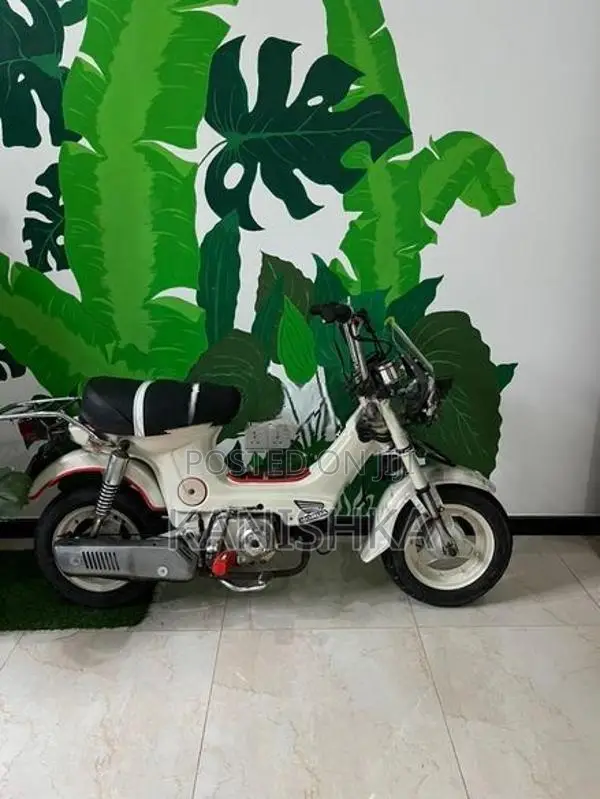 Honda Chaly 1995