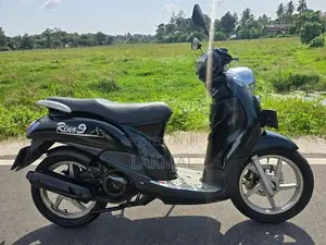 Demak Rino 2015