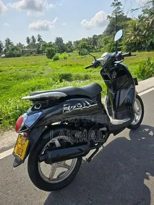 Demak Rino 2015
