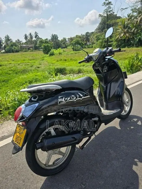 Demak Rino 2015