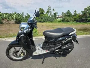 Demak Rino 2015