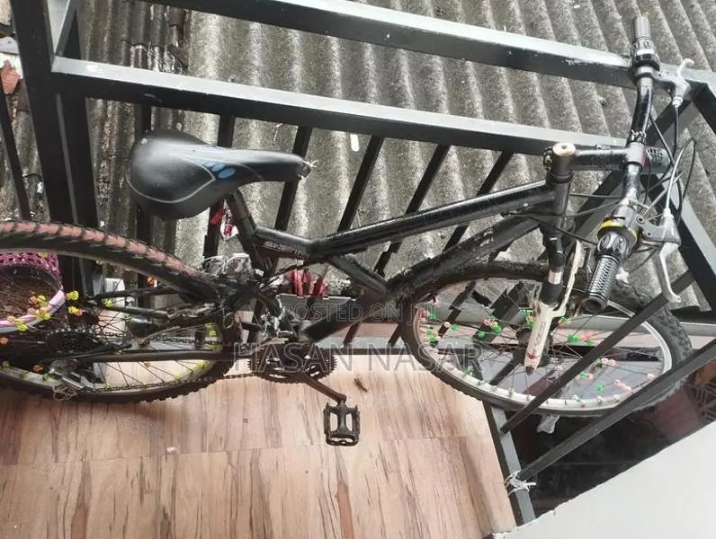 Bicycle (Used)