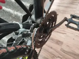 Bicycle (Used)